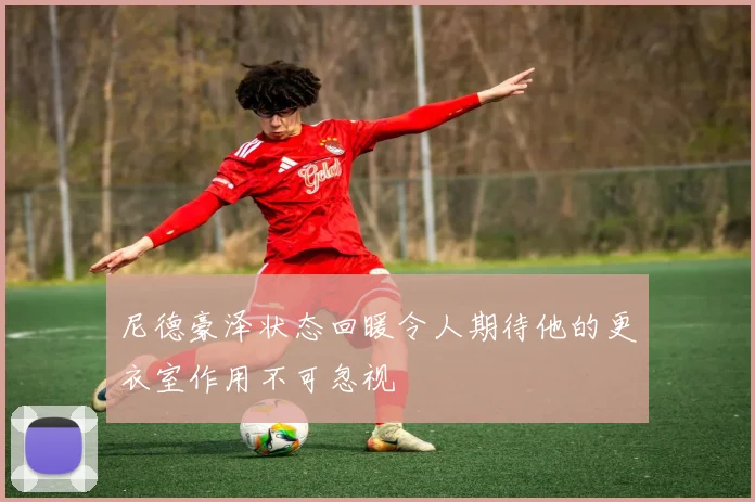 尼德豪泽状态回暖令人期待他的更衣室作用不可忽视